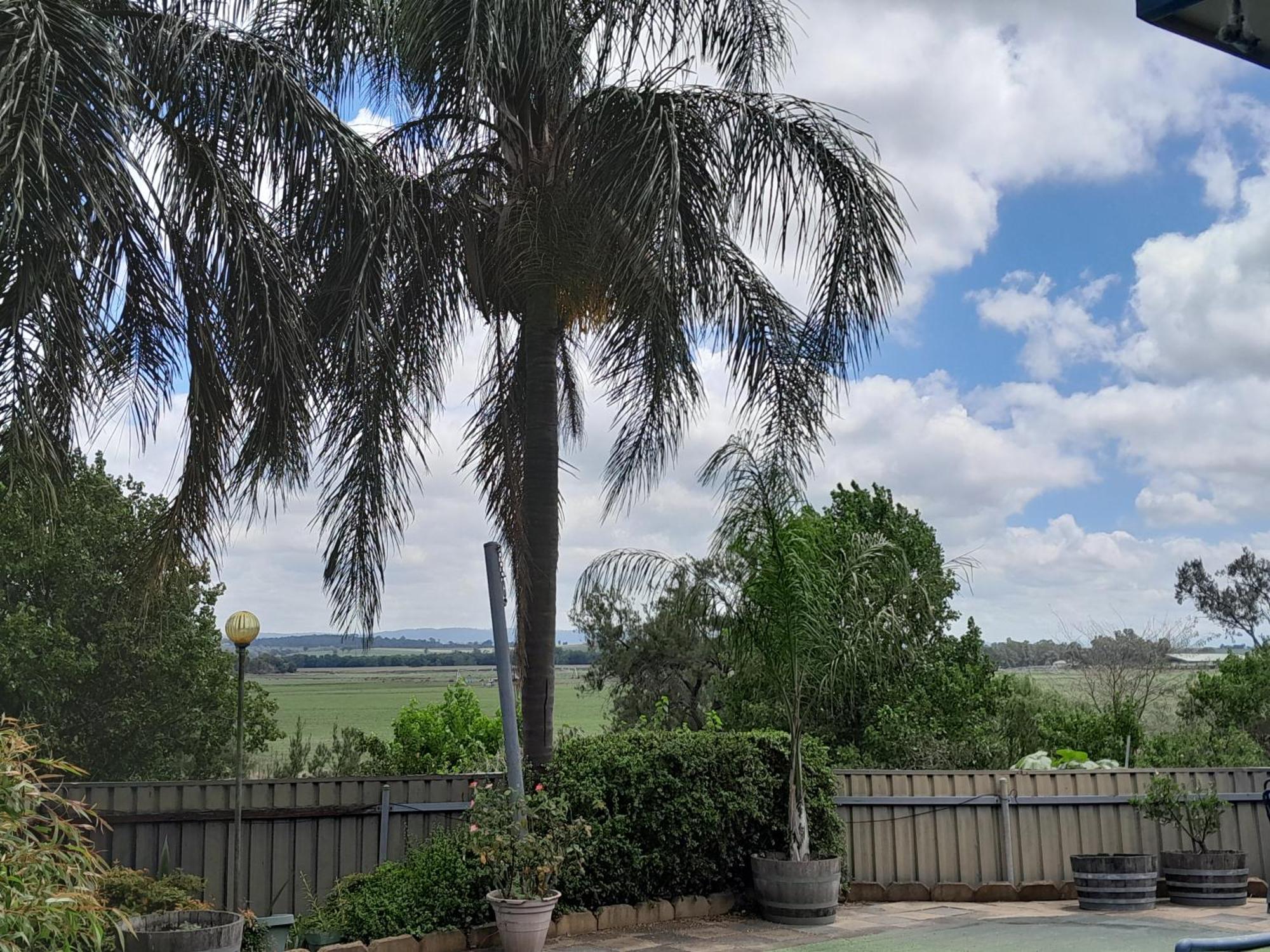 Muswellbrook Northside Bed & Breakfast 외부 사진