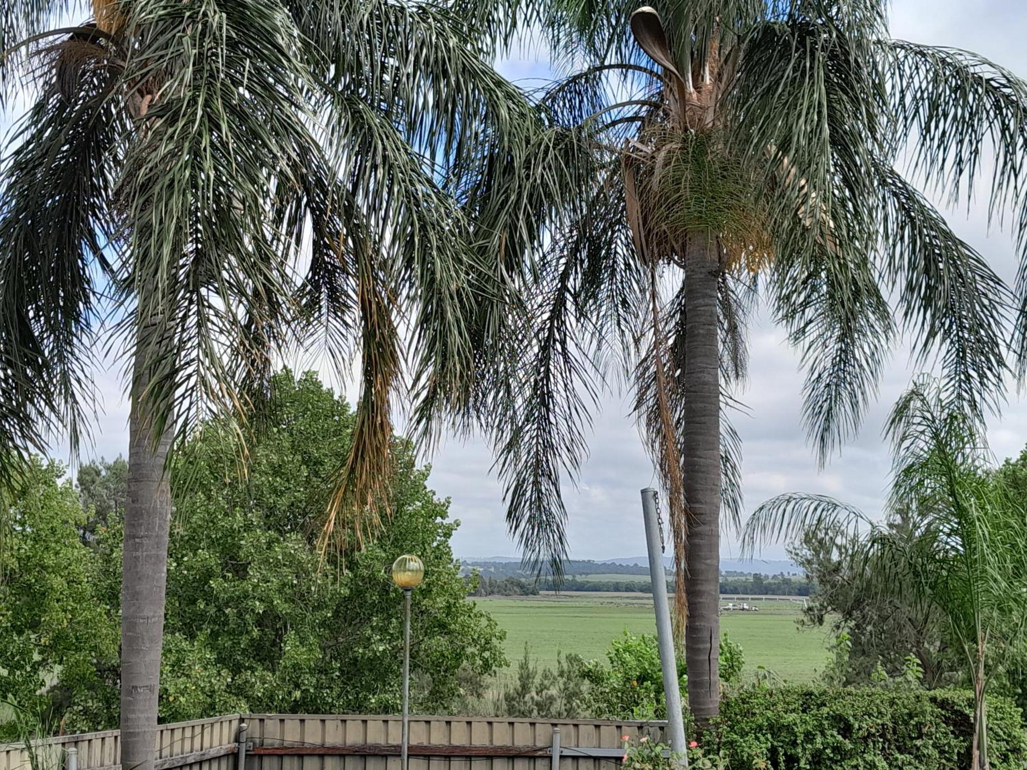 Muswellbrook Northside Bed & Breakfast 외부 사진